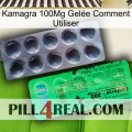 Kamagra 100Mg Gelée Comment Utiliser new04